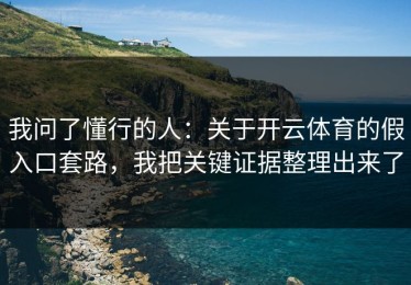 我问了懂行的人：关于开云体育的假入口套路，我把关键证据整理出来了