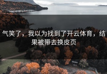 气笑了，我以为找到了开云体育，结果被带去换皮页