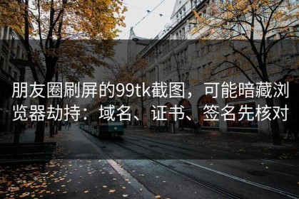 朋友圈刷屏的99tk截图，可能暗藏浏览器劫持：域名、证书、签名先核对