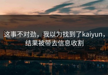 这事不对劲，我以为找到了kaiyun，结果被带去信息收割