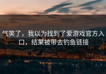 气笑了，我以为找到了爱游戏官方入口，结果被带去钓鱼链接
