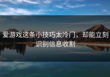 爱游戏这条小技巧太冷门，却能立刻识别信息收割