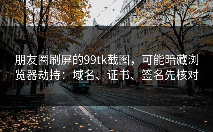 朋友圈刷屏的99tk截图,可能暗藏浏览器劫持:域名、证书、签名先核对 朋友圈刷屏的99tk截图,可能暗藏浏览器劫持:域名、证书、签名先核对